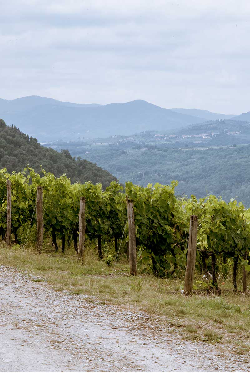 Emilia Romagna